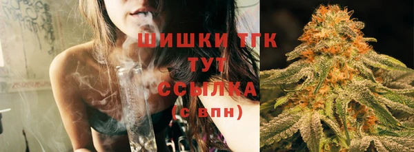 мдпв Сосновка