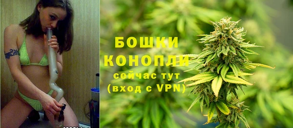 твердый Сосновоборск