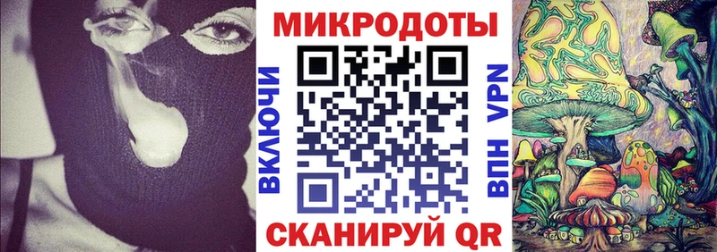 купить закладку  Шарья  Галлюциногенные грибы Psilocybine cubensis 