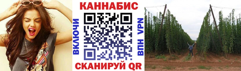 Бошки марихуана индика  ссылка на мегу сайт  Шарья 